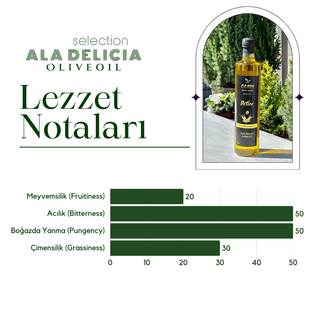 Delice EVOO Organik Zeytinyağı