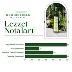 Kocadere EVOO Zeytinyağı